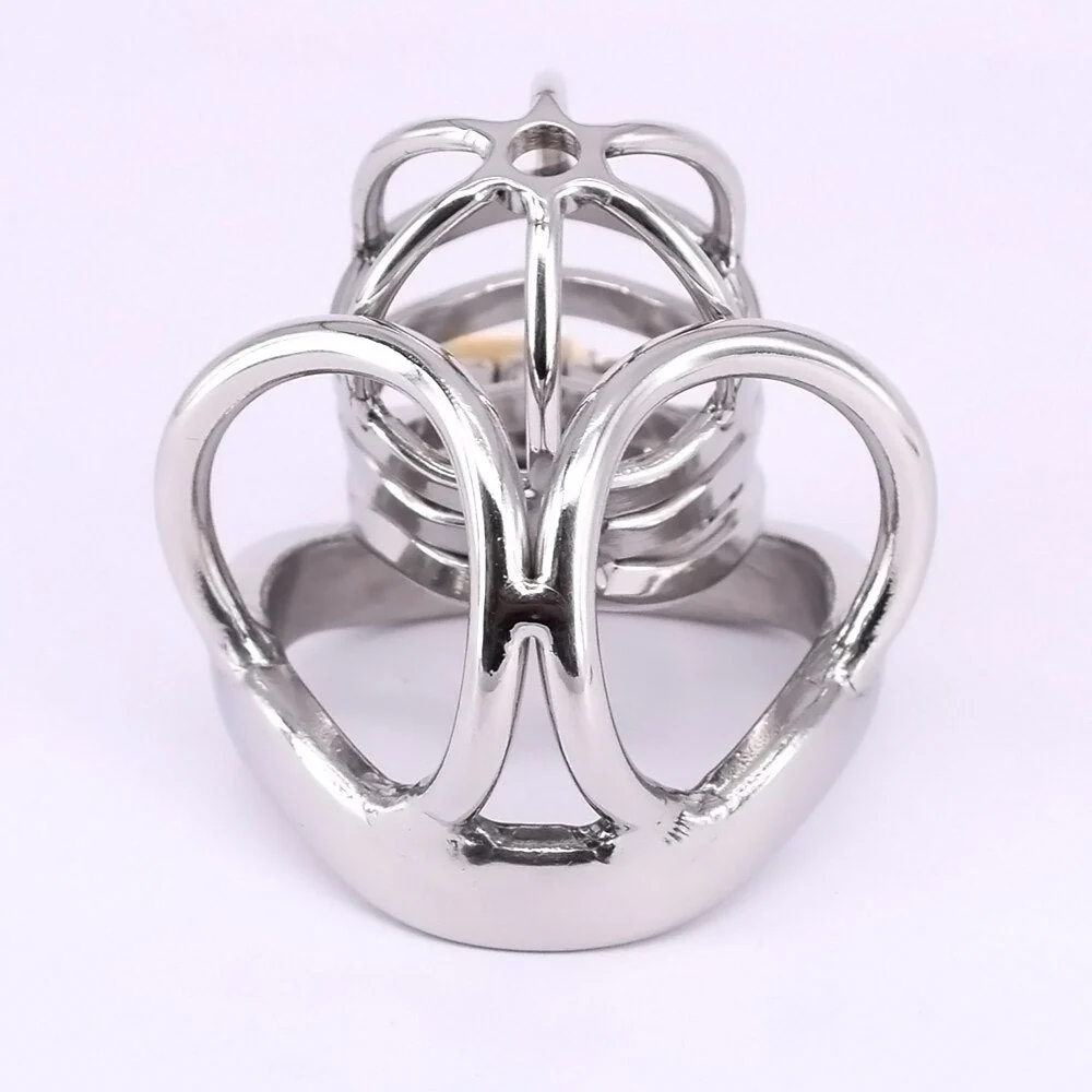Keuschheitskäfig Aus Metall Birdlock L - Image 3