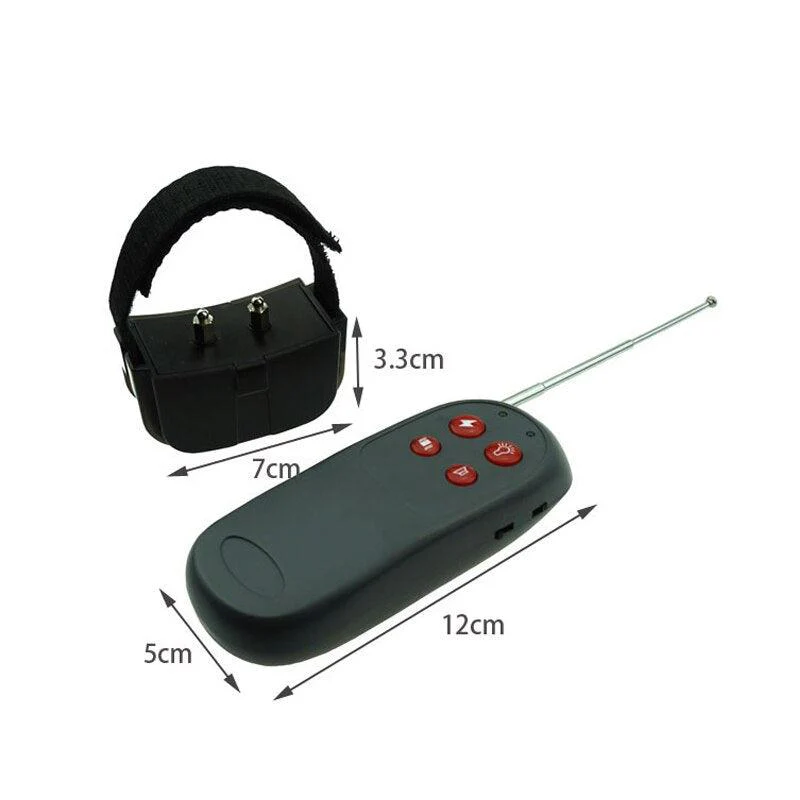 Fernbedienbarer CBT Schockkragen für Penis und Hoden - Image 3
