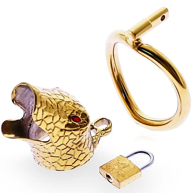 Keuschheitskäfig Für Männer Goldschlange - Image 4