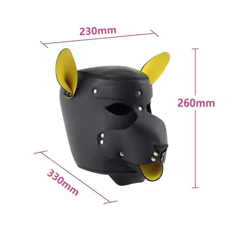 Hundehaube Aus Leder - Image 3
