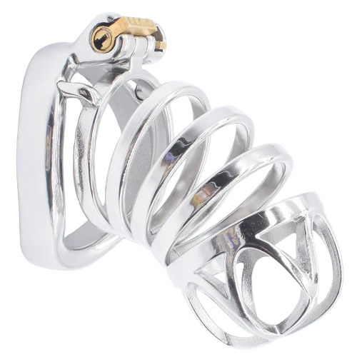 Keuschheitskäfig Aus Metall Le Cabanon Xl - Image 2