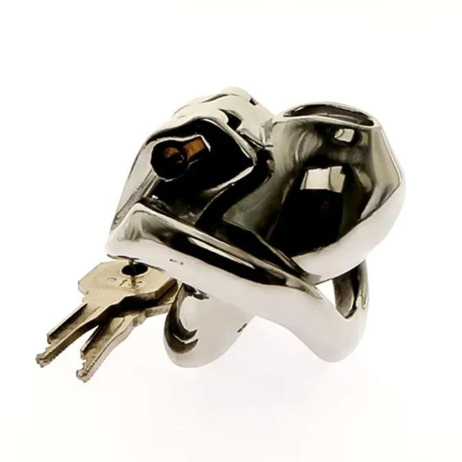 Keuschheitskäfig Für Männer Metall Master Silver - Image 2