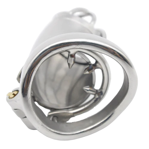 Metall-Peniskäfig für Männer - BX 200 L - Image 4