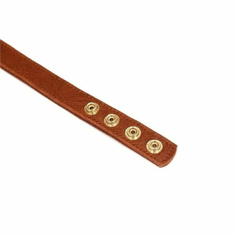 Vintage Nippelklemmen Halsband BDSM - Image 5