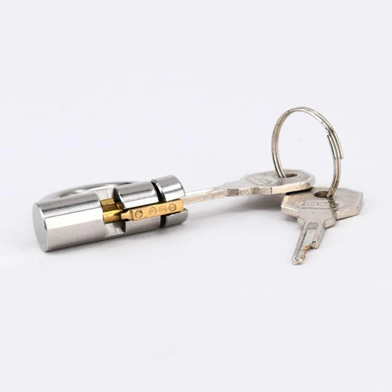 PA Keuschheit Penis Käfig Vorhängeschloss - Image 4
