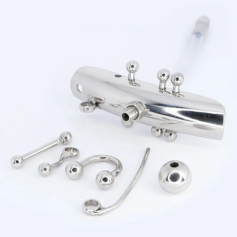 Weibliche Keuschheitsvorrichtung mit Harnröhrensonde und Schamlippen und Christina-Piercings - Image 5