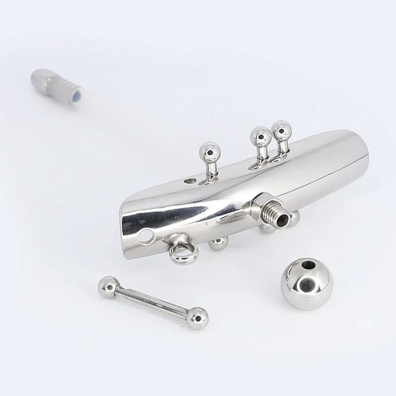 Weibliche Keuschheitsvorrichtung mit Harnröhrensonde und Schamlippen und Christina-Piercings - Image 7